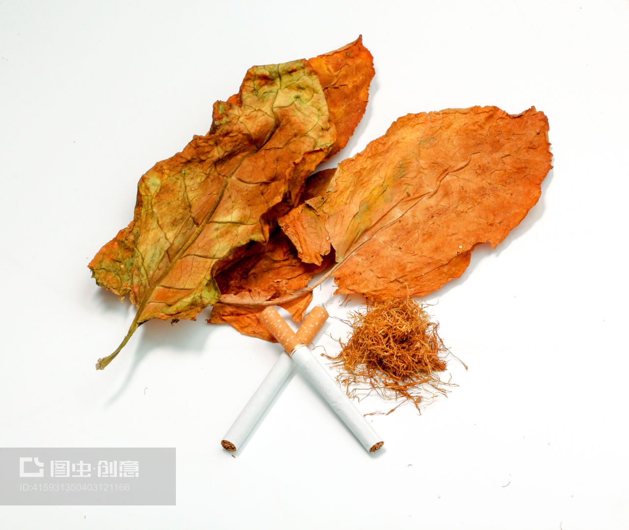 白底上的沉思 干叶与香烟的对话